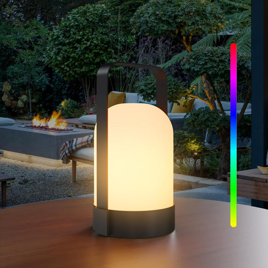 Wireless Dimmable LED Table Lamp with handle